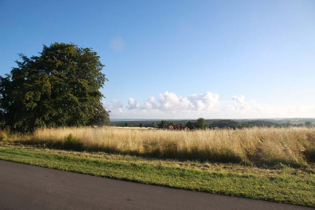 country-house-3.jpeg