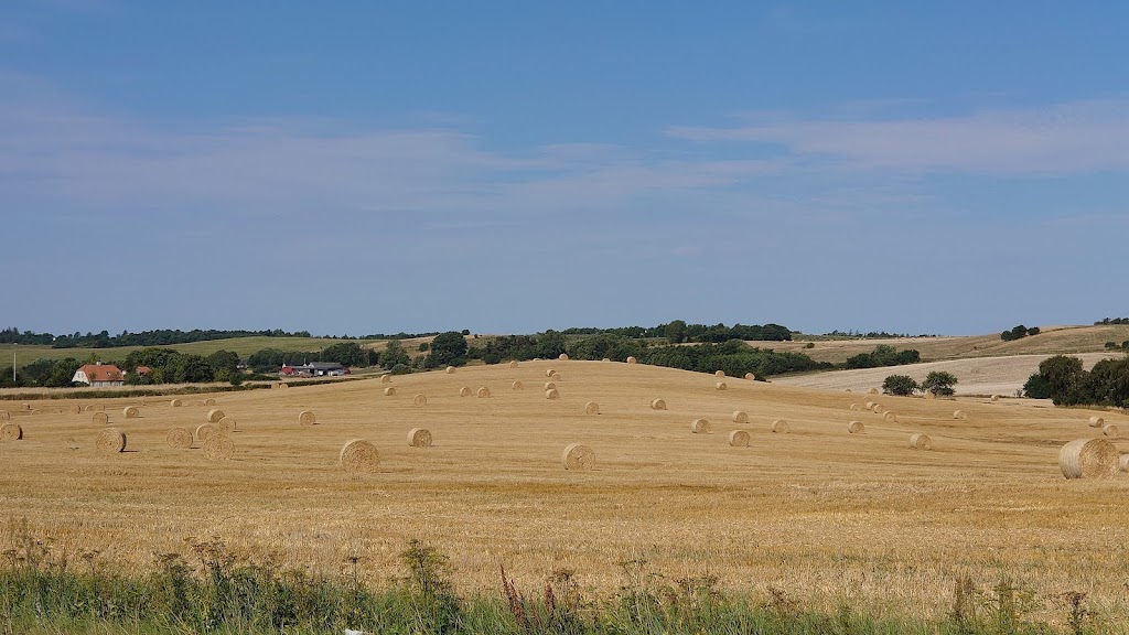 geopark-bjerg-grand-prix-4.jpeg