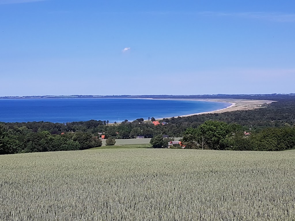 hojderygstien-hove-17.jpeg