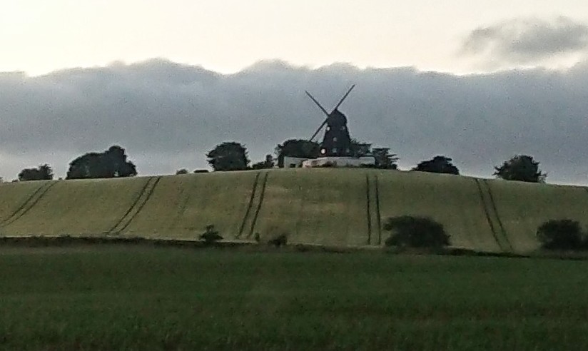 hove-molle-5.jpeg