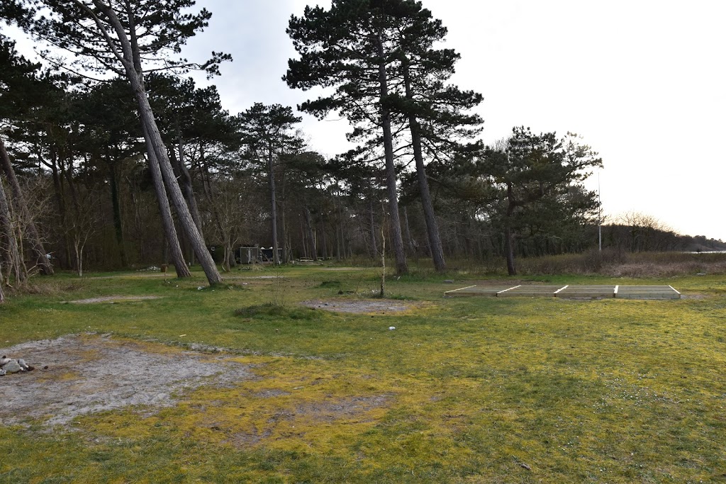 hove-skov-10.jpeg