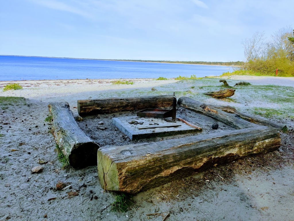hove-skov-ved-stranden-6.jpeg