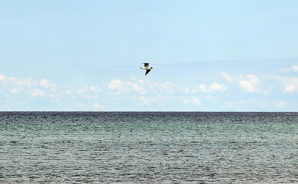 lejrskolen-hove-strand-11.jpeg