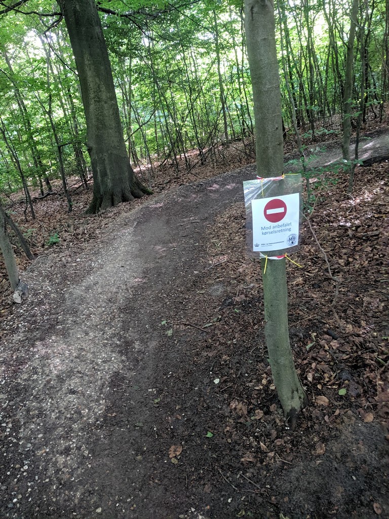 det-rode-spor-mtb-3.jpeg