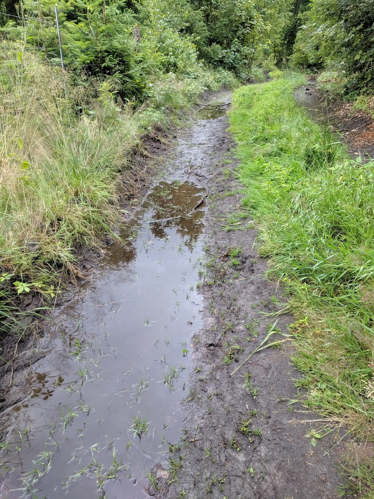 det-rode-spor-mtb-5.jpeg