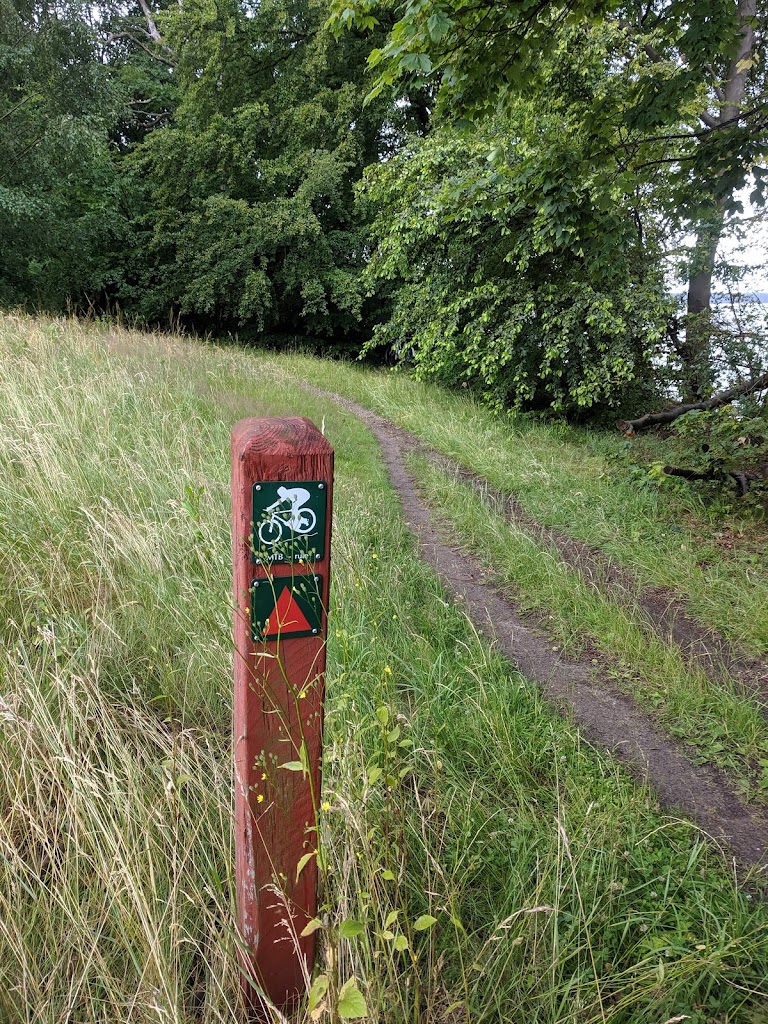det-rode-spor-mtb-6.jpeg