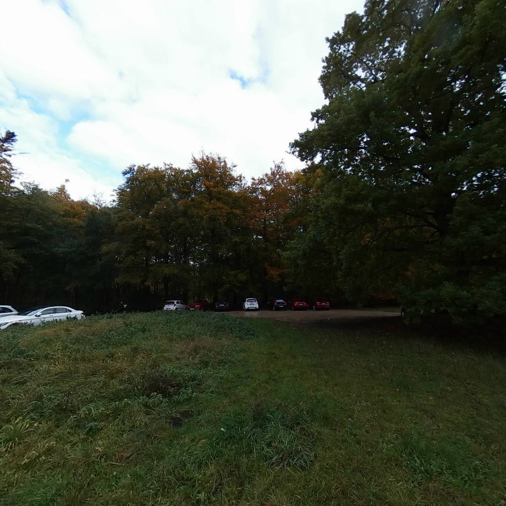 skovbrynet-circus-field-6.jpeg