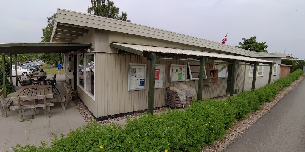 a-h-tjornebjerg-8.jpeg