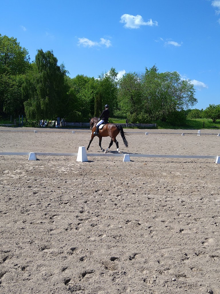 ballerup-rideklub-12.jpeg