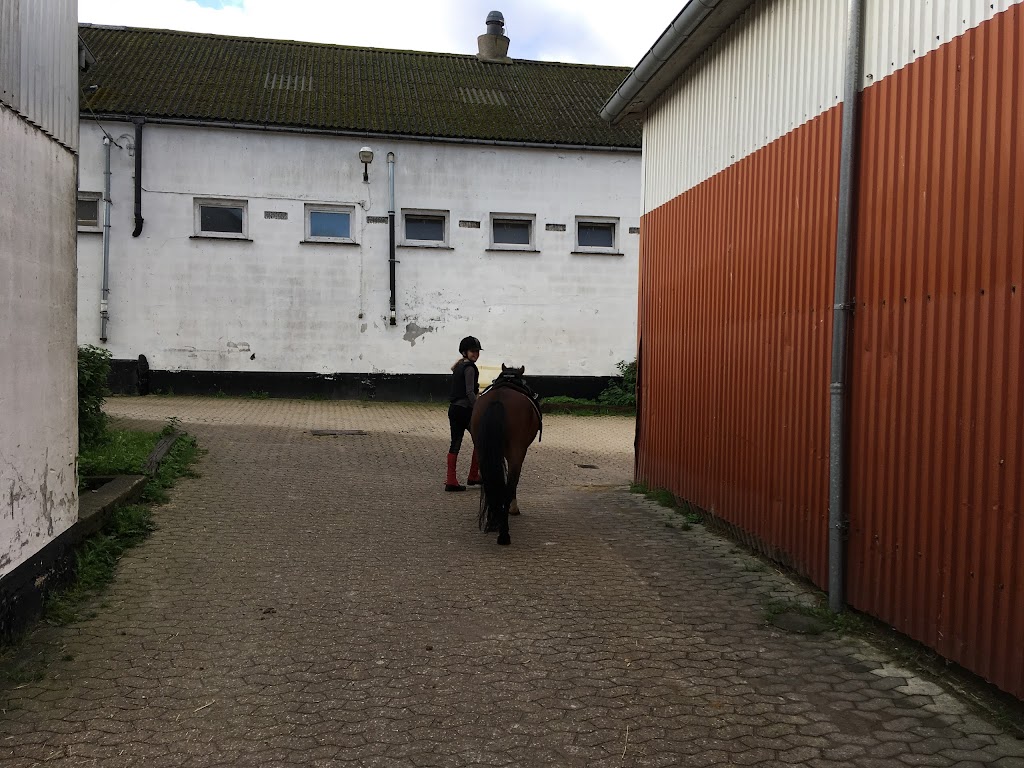 ballerup-rideklub-5.jpeg