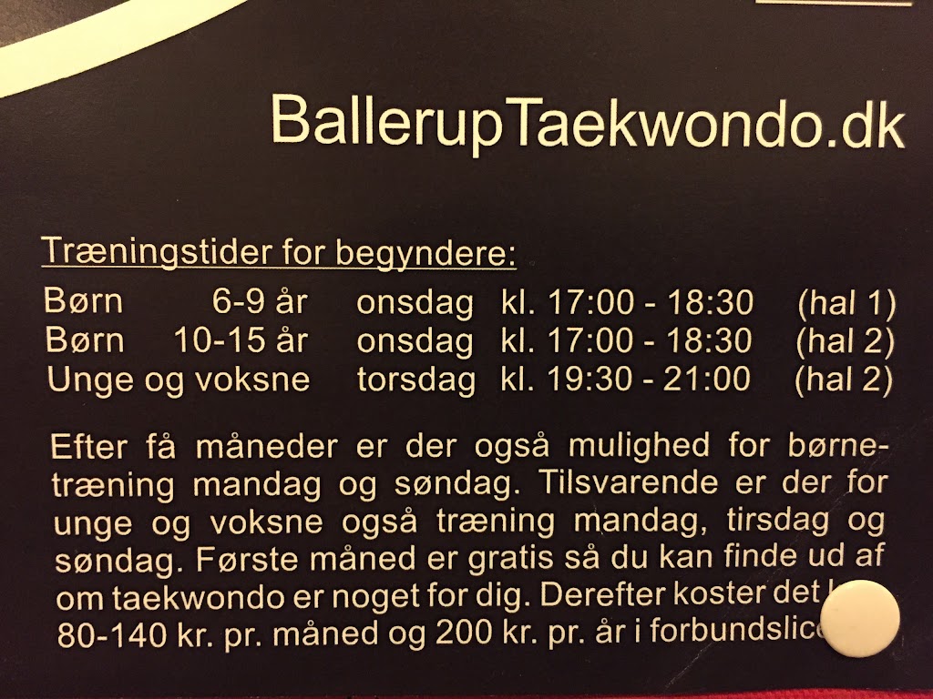 ballerup-taekwondo-club-16.jpeg