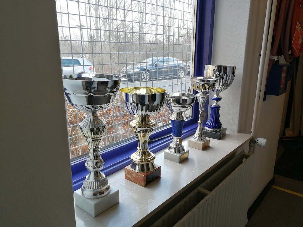 ballerup-taekwondo-club-5.jpeg