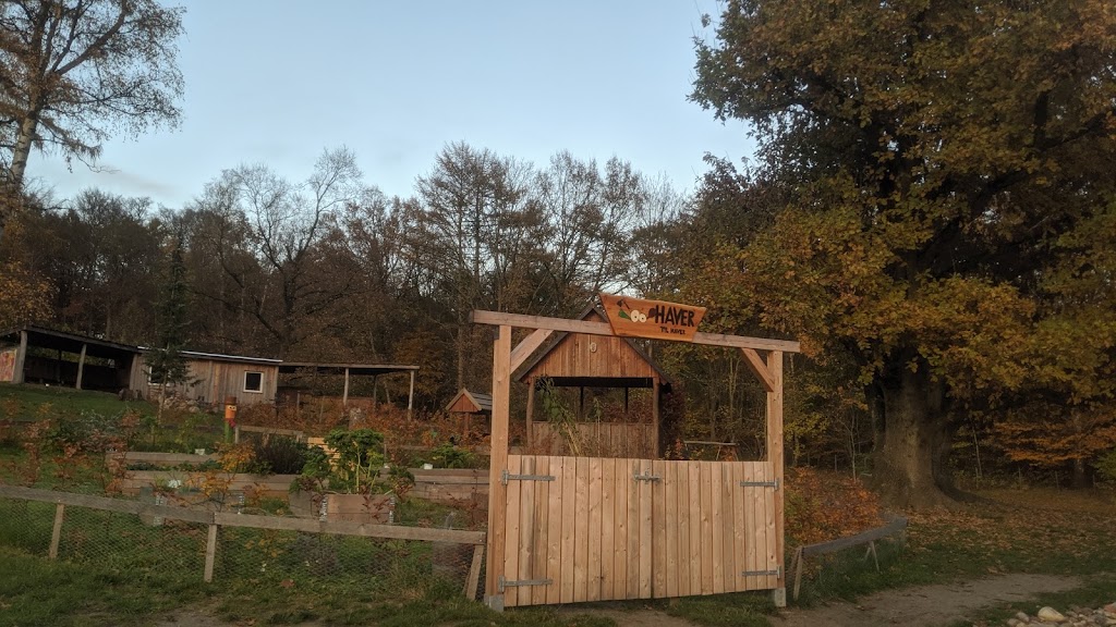 bornehuset-valhalla-i-skoven-1.jpeg