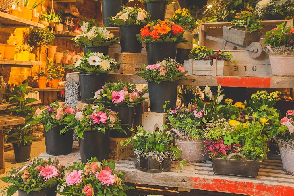 botanica-blomster-10.jpeg
