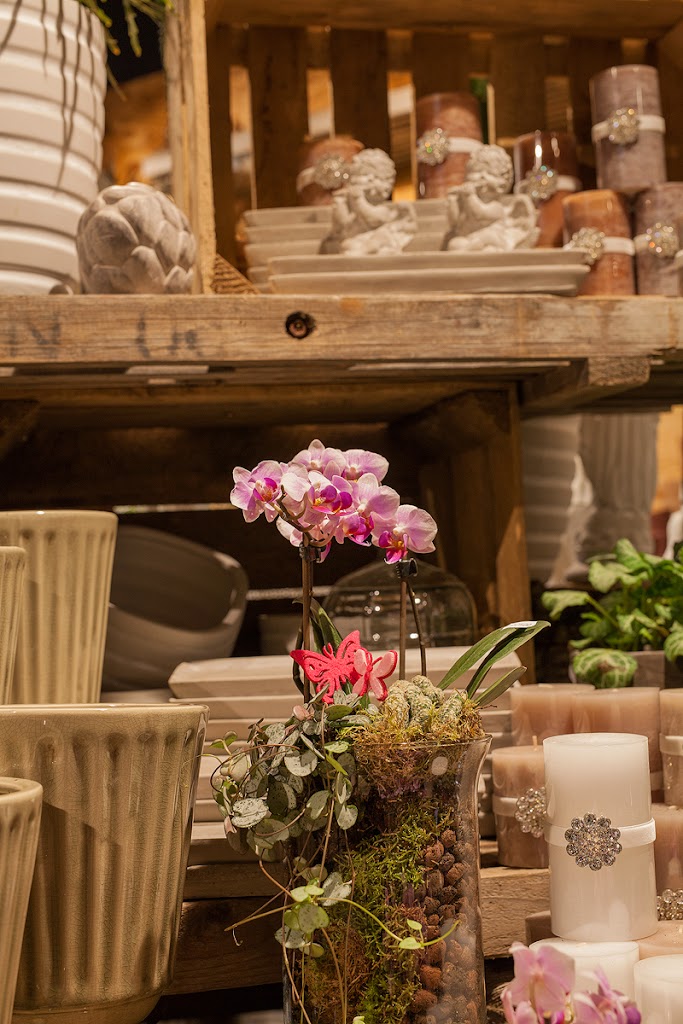 botanica-blomster-13.jpeg