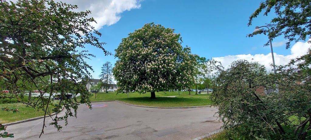 damgardsparken-3.jpeg