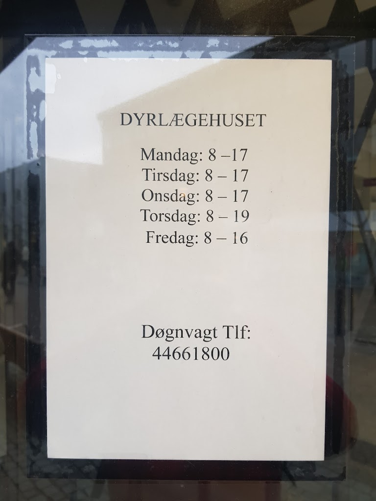 dyrlaegehuset-i-ballerup-7.jpeg