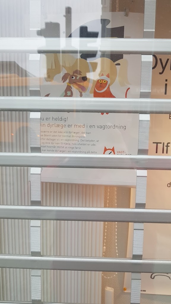 dyrlaegehuset-i-ballerup-8.jpeg