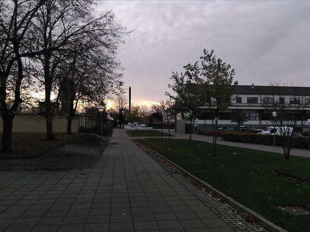hedegardsskolen-0.jpeg