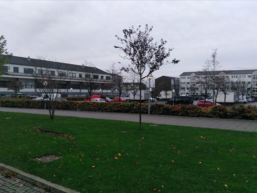 hedegardsskolen-9.jpeg