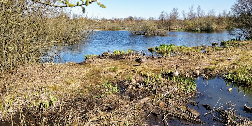 lautrupgard-kollegiet-4.jpeg