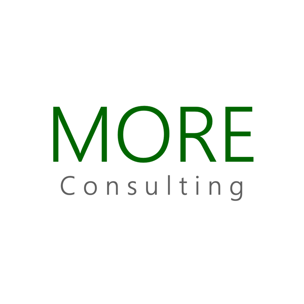 more-consulting-0.jpeg