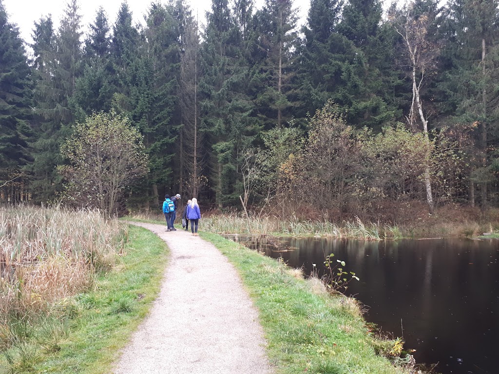 paeremosehavn-15.jpeg