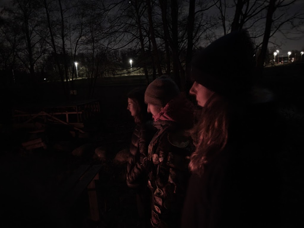paeremosehavn-17.jpeg