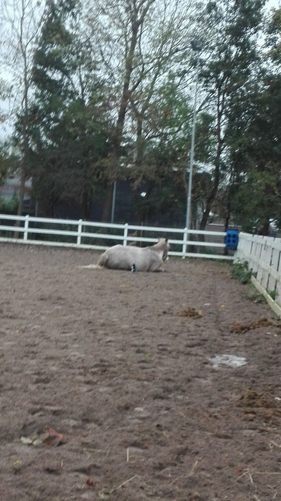 pederstrup-sogn-0.jpeg