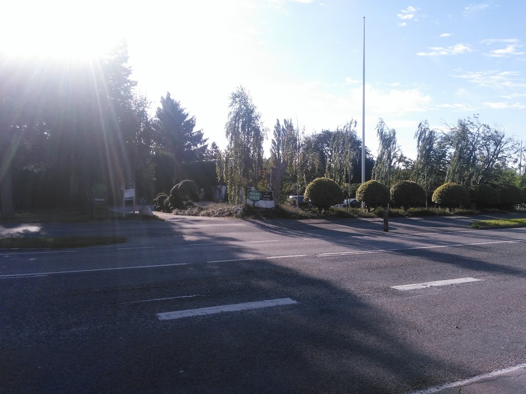 sitas-traeplanteskole-15.jpeg