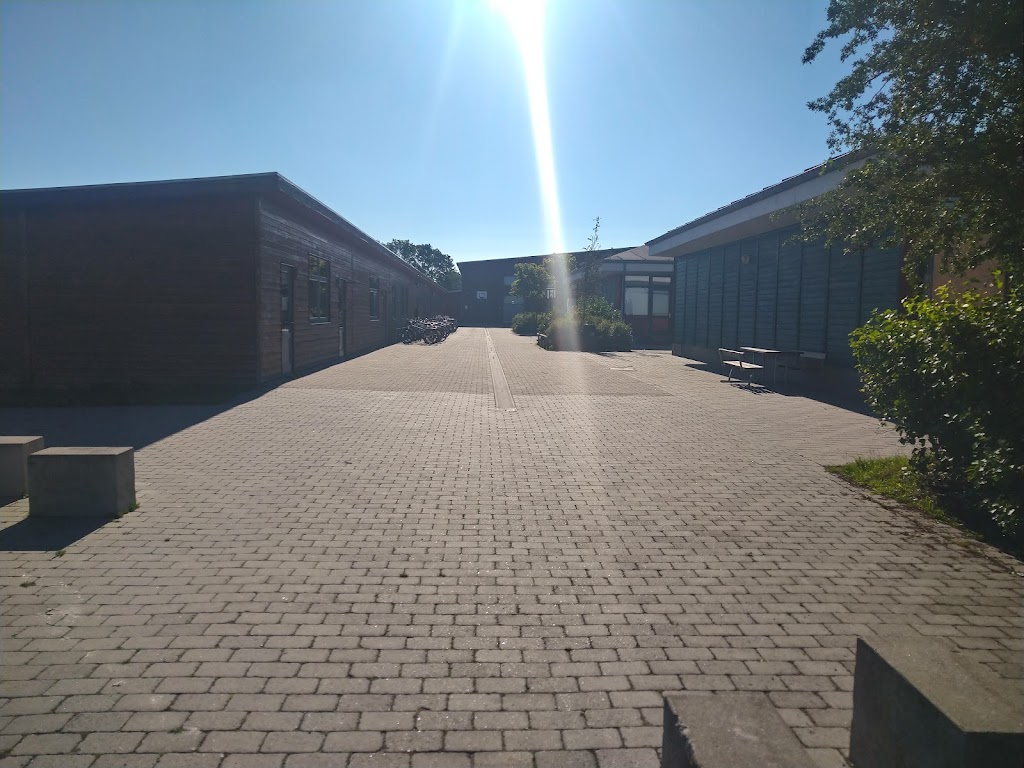 skovvejens-skole-afdeling-vest-6.jpeg