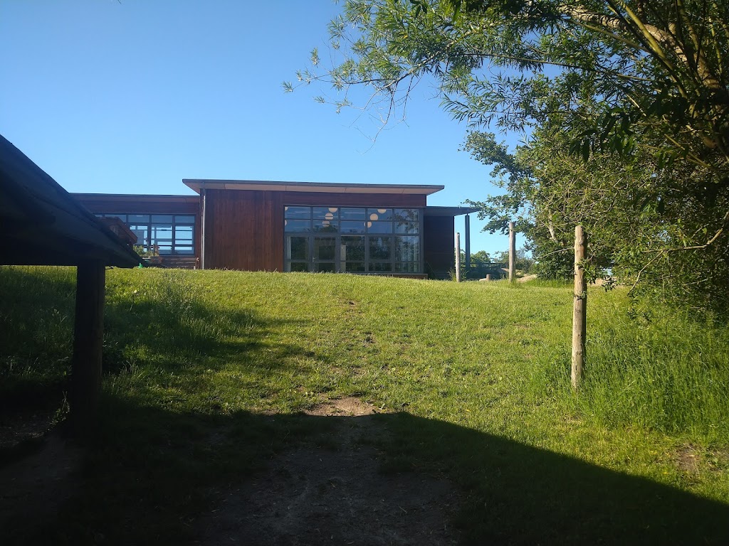 skovvejens-skole-afdeling-vest-8.jpeg