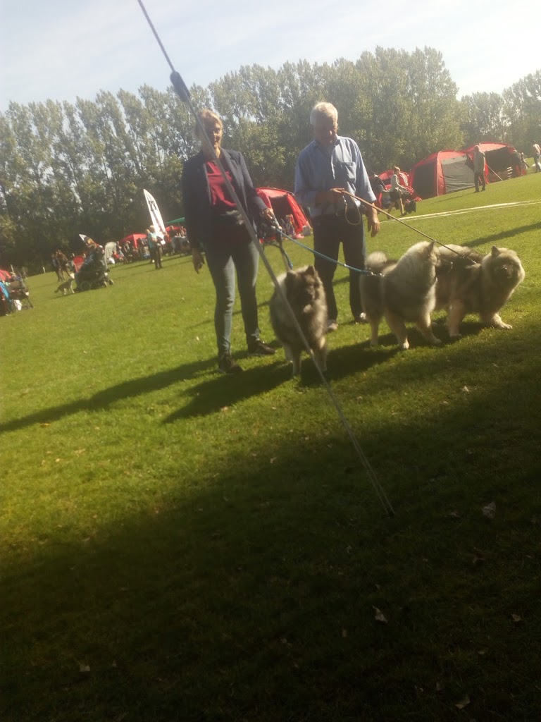 topdanmark-hallen-10.jpeg