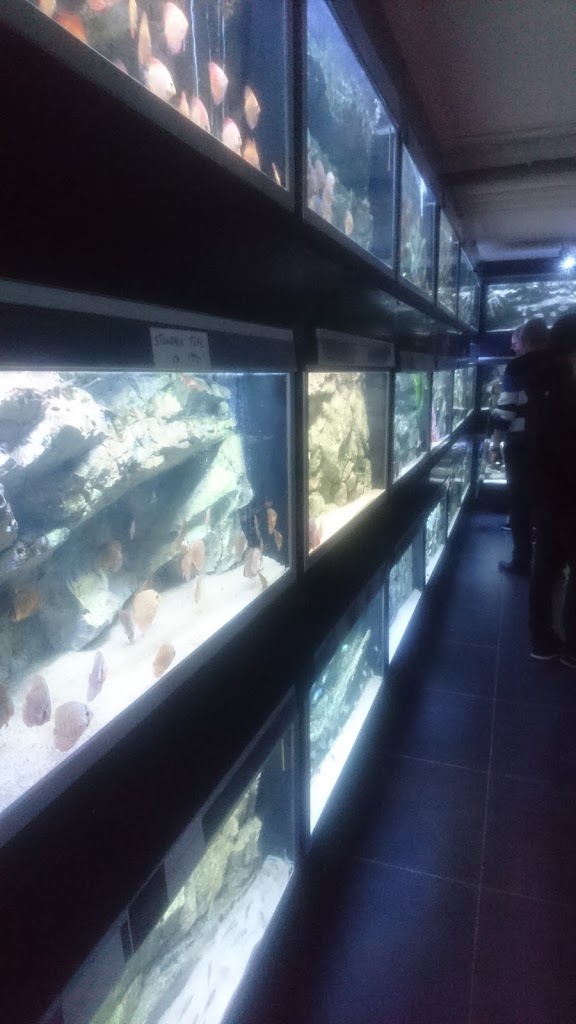 akvariebutikken-11.jpeg