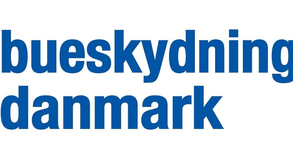 bueskydning-danmark-2.jpeg