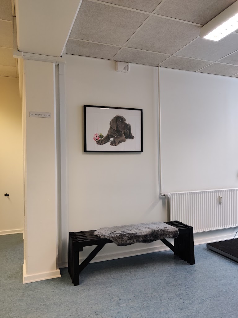 dyrlaegehuset-brondbyoster-11.jpeg