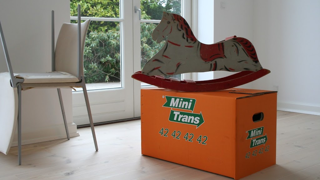 mini-trans-a-s-4.jpeg