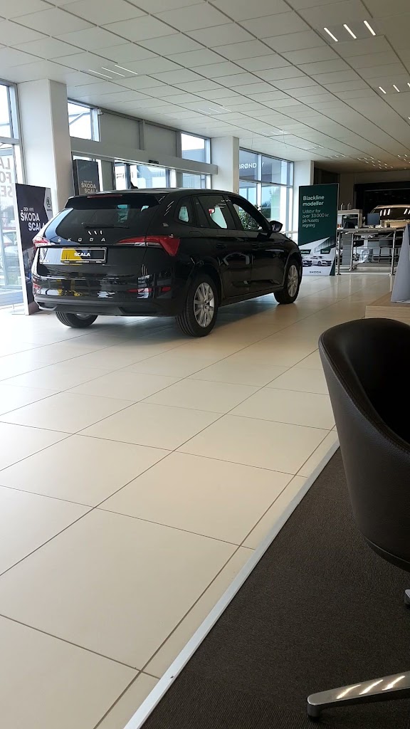 seat-cupra-brondby-5.jpeg