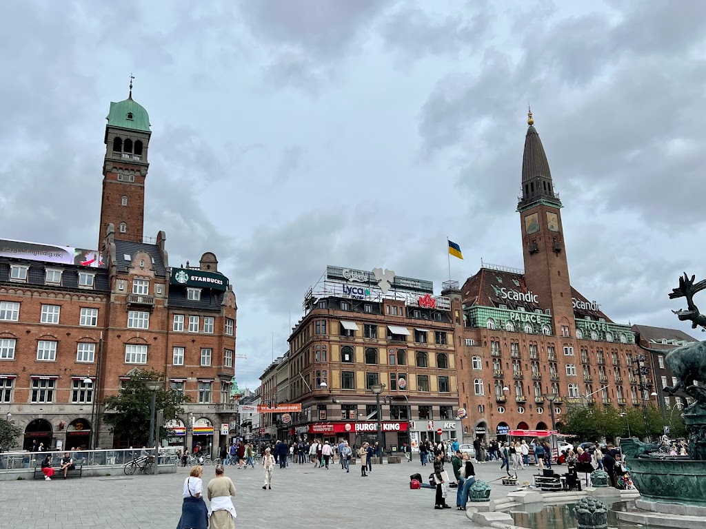 sangskatte-vildkatte-10.jpeg