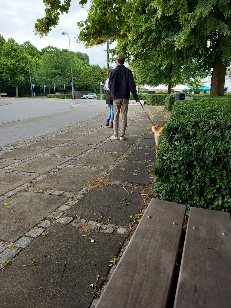 femvejen-roundabout-13.jpeg