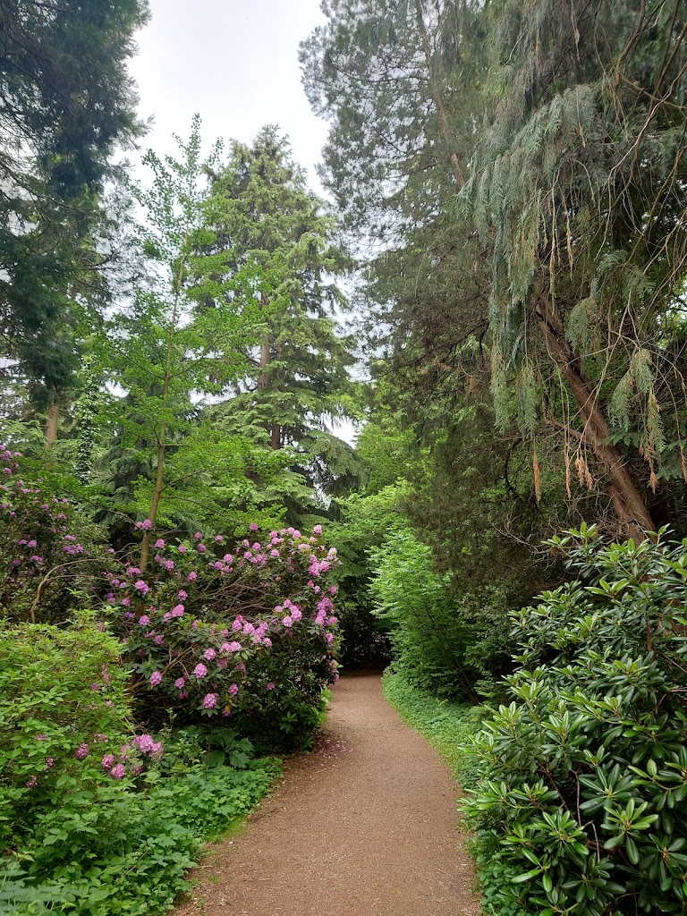 forstbotanisk-have-0.jpeg