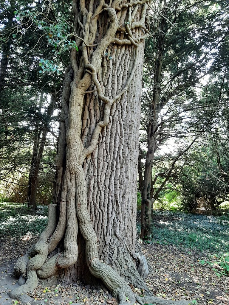 forstbotanisk-have-1.jpeg