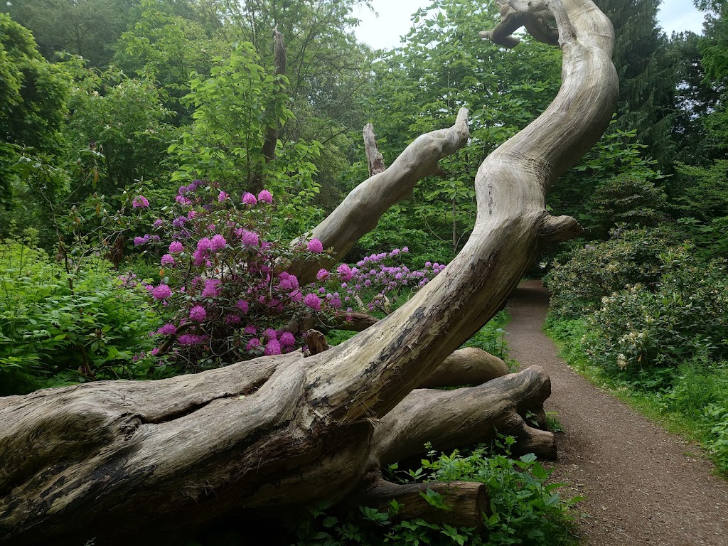 forstbotanisk-have-11.jpeg