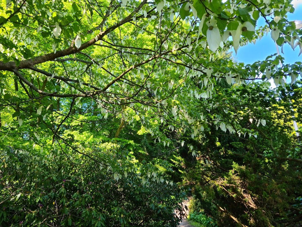forstbotanisk-have-6.jpeg