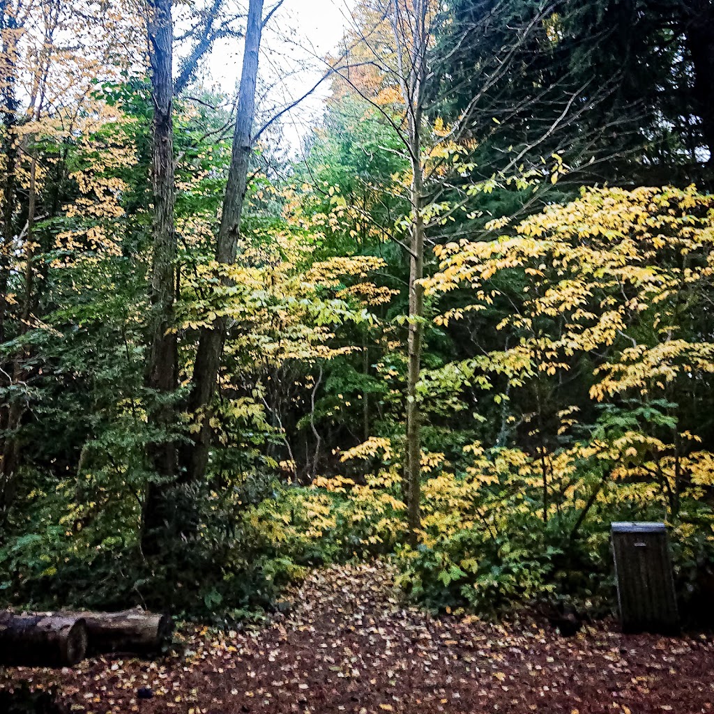 forstbotanisk-have-7.jpeg