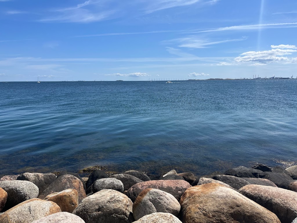 skovshoved-havhave-0.jpeg