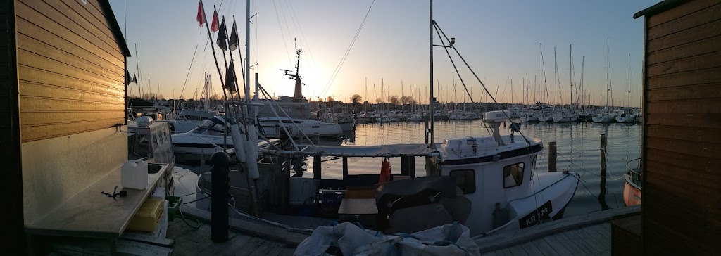 skovshoved-havhave-17.jpeg