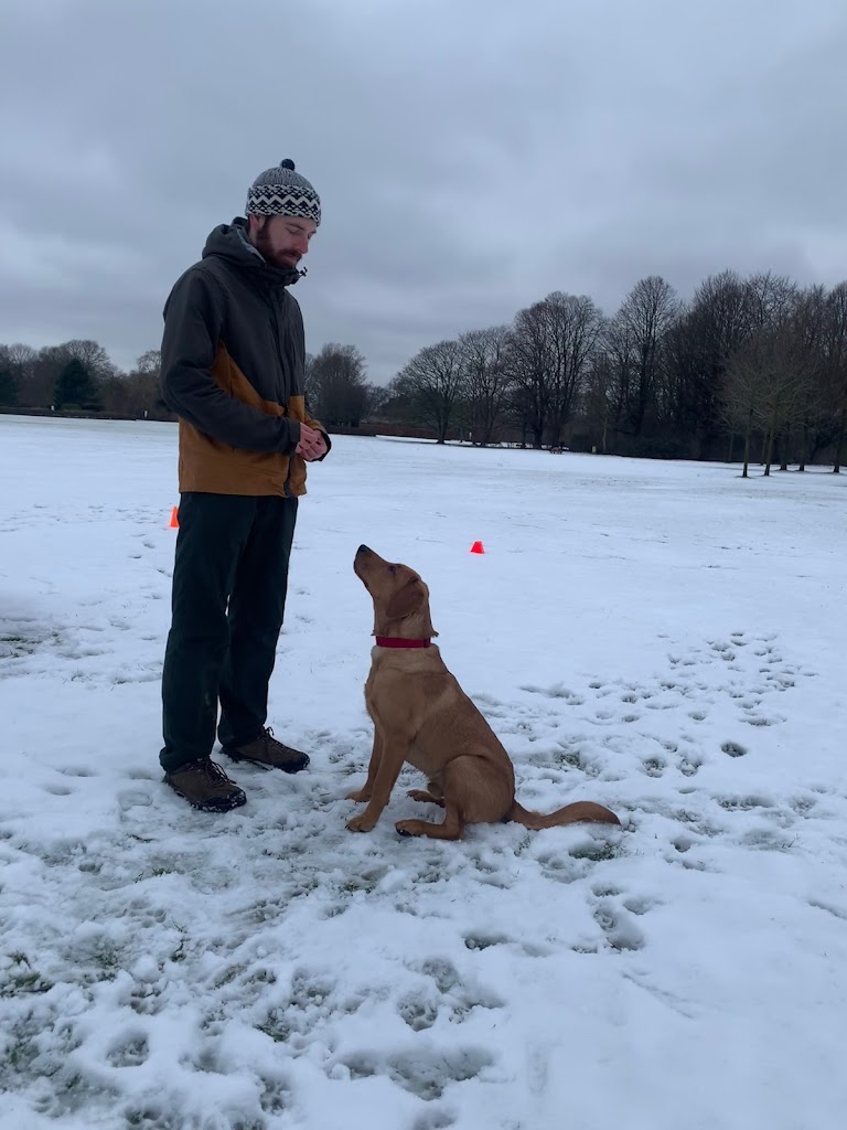 we-love-training-10.jpeg