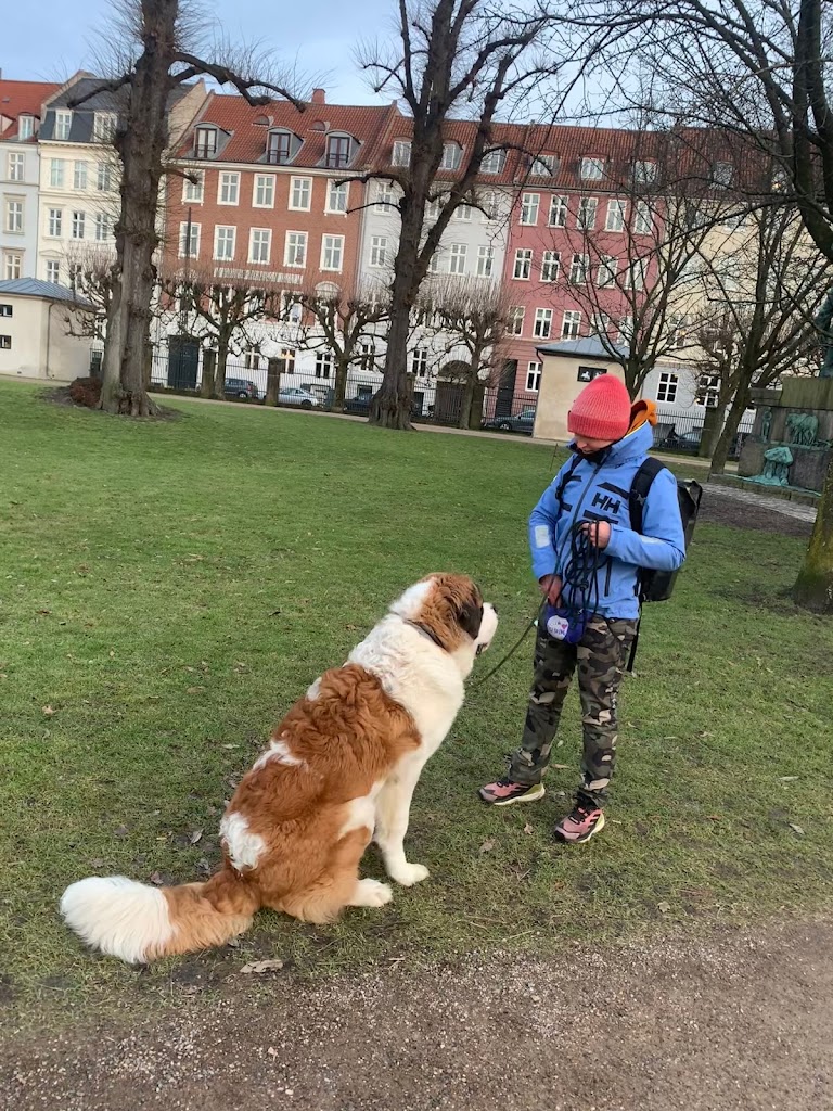 we-love-training-8.jpeg