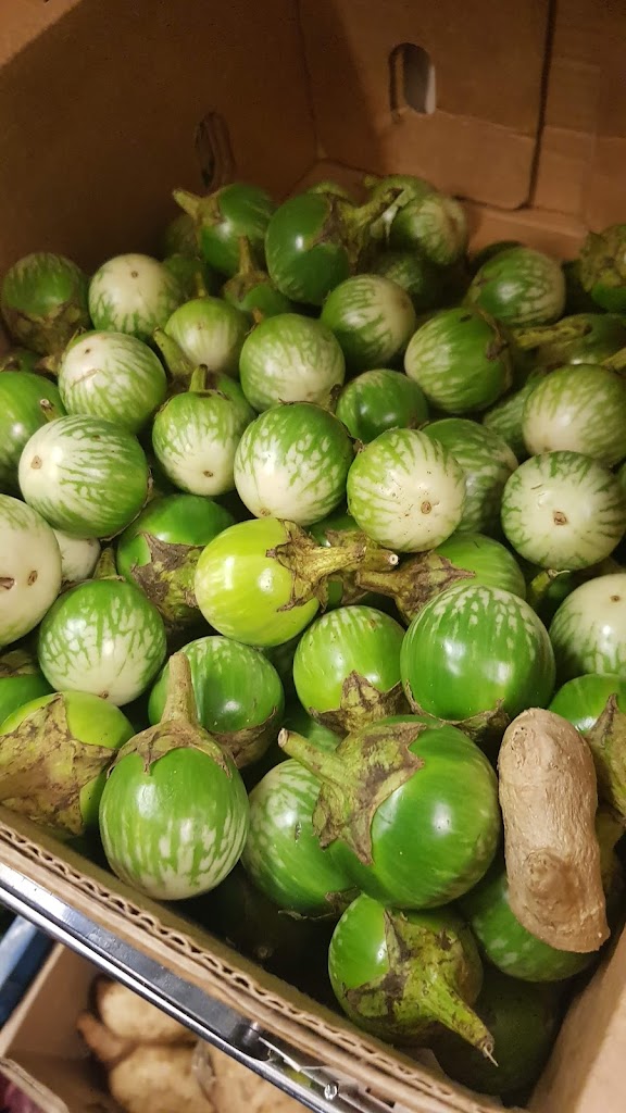 afghan-food-store-11.jpeg